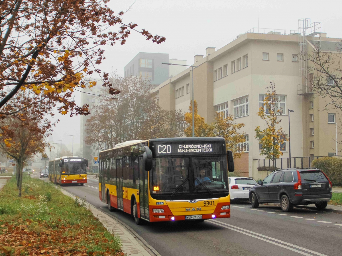 9301
Słowa kluczowe: WĹ2022