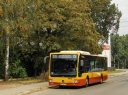 DSC01134.jpg