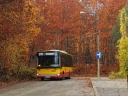 DSC01697.jpg