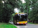 DSC00495.jpg