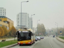 DSC01961.jpg