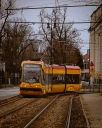 _MG_7432-4.jpg