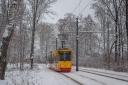 DSC_230l.jpg