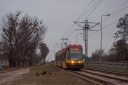 DSC_214low.jpg