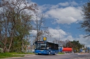25182.jpg
