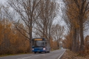 DSC_169wgkm.jpg