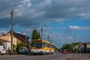 DSC_221.jpg