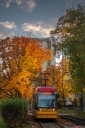DSC_155wgkm.jpg