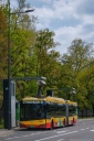 5887.jpg