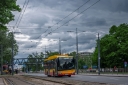 4303.jpg