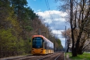4204ll.jpg