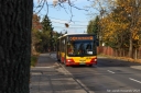 3406_.jpg