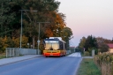 7802.jpg