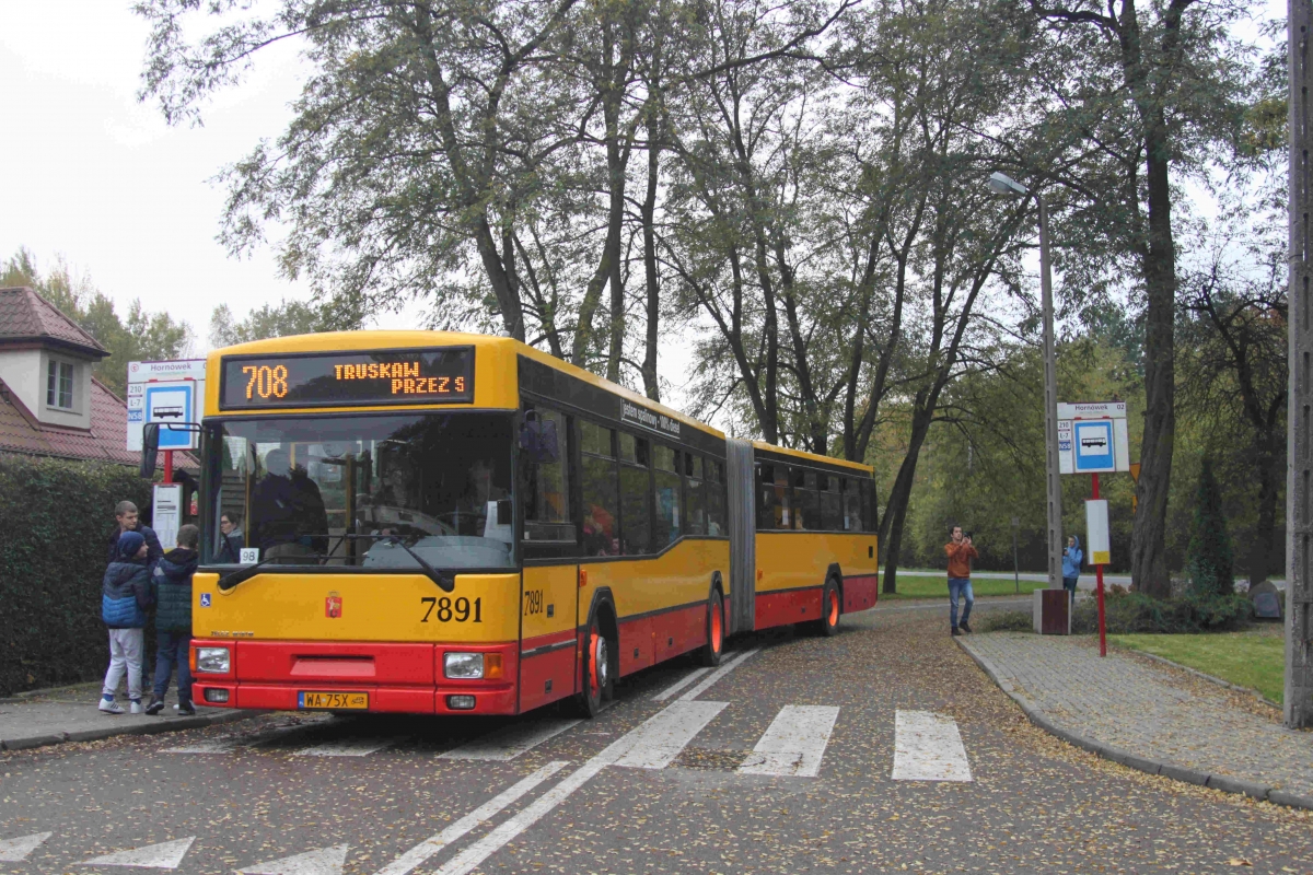 7891
Słowa kluczowe: Powitanie7891 M181