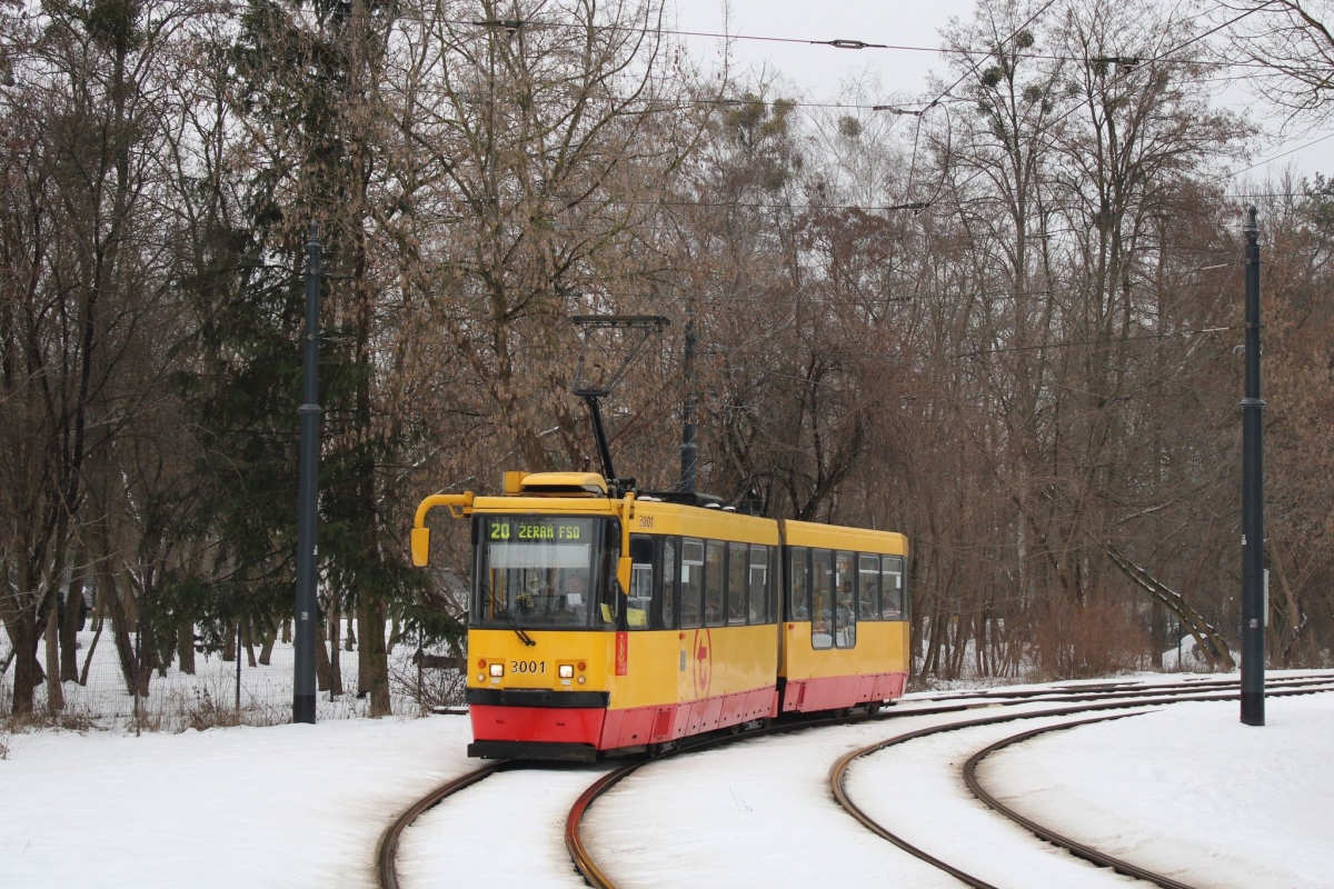 3001
Słowa kluczowe: Zima
