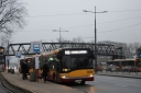 bs238.JPG