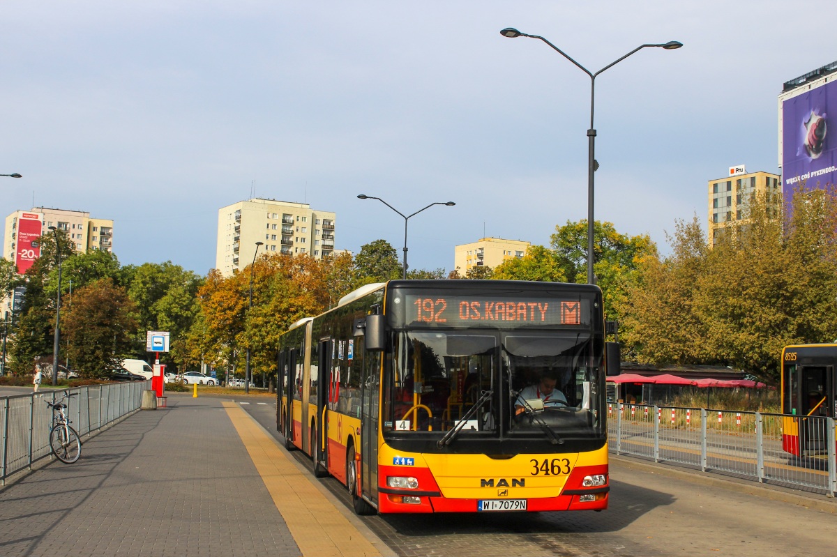 3463
Słowa kluczowe: DziwadĹo