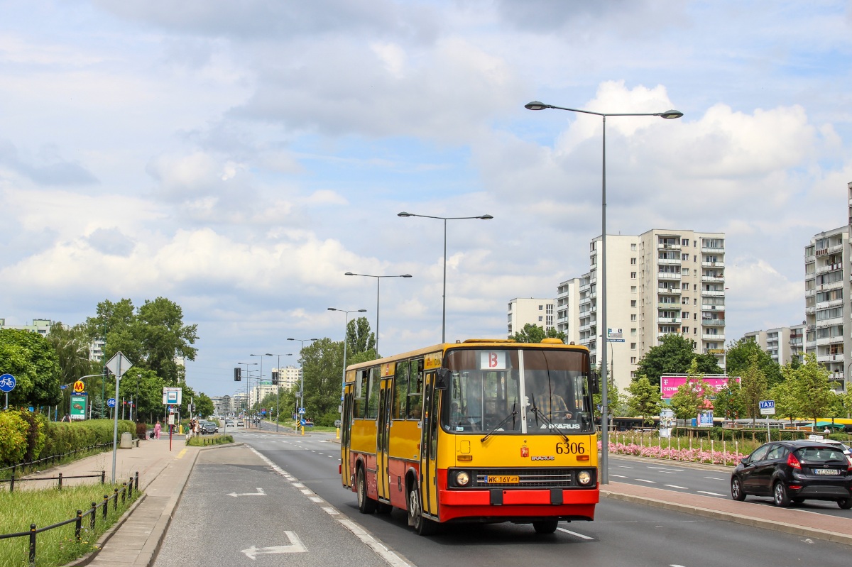 6306
Słowa kluczowe: IK260