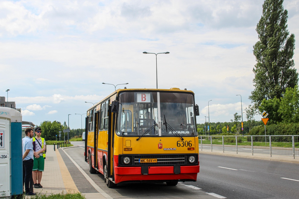 6306
Słowa kluczowe: IK260