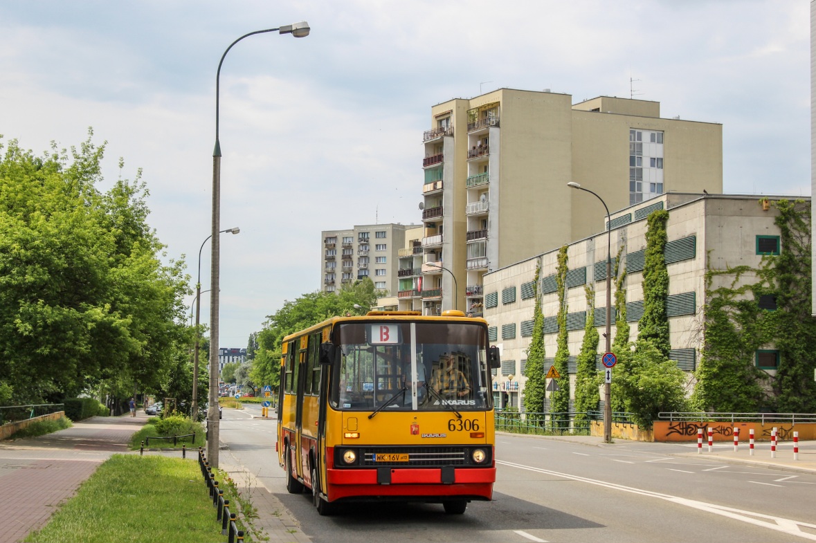 6306
Słowa kluczowe: IK260