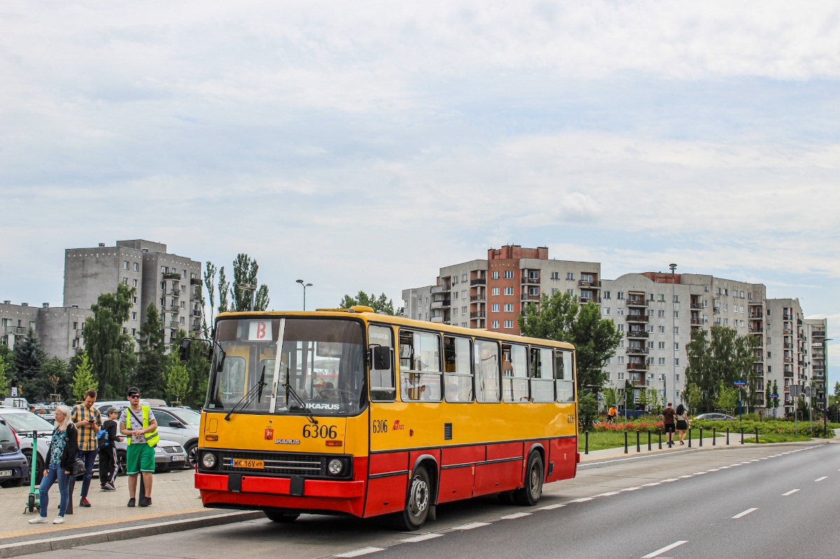 6306
Słowa kluczowe: IK260