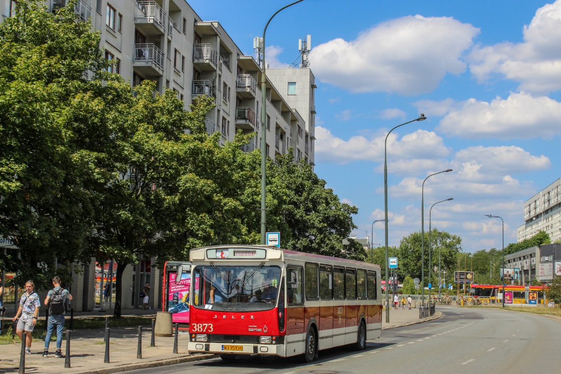 3873
Słowa kluczowe: PR100