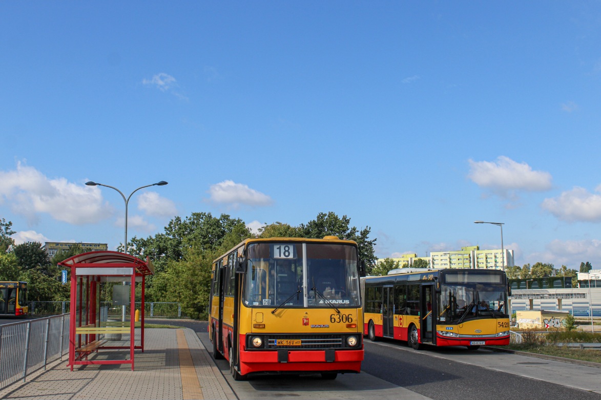 6306
Słowa kluczowe: IK260