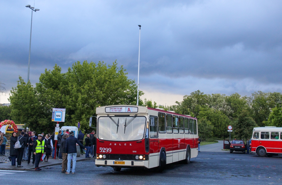5299
Słowa kluczowe: PR110 NM2025