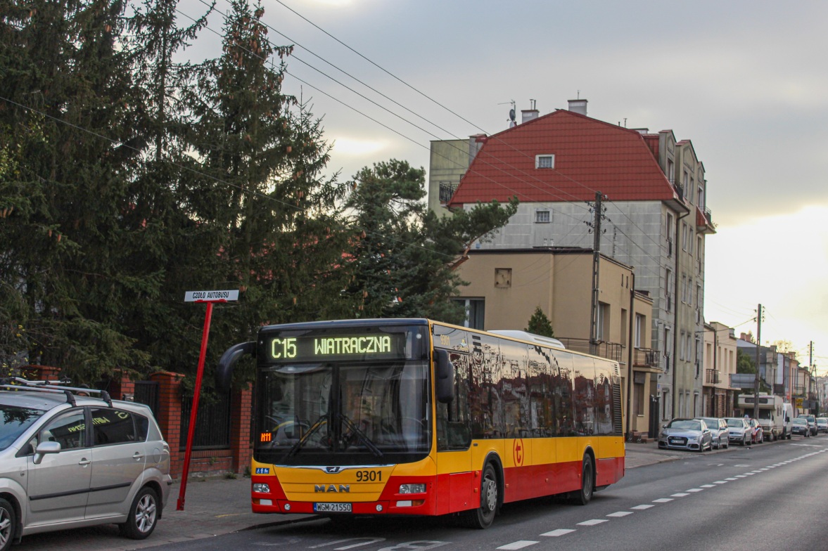 9301
Słowa kluczowe: WĹ2024