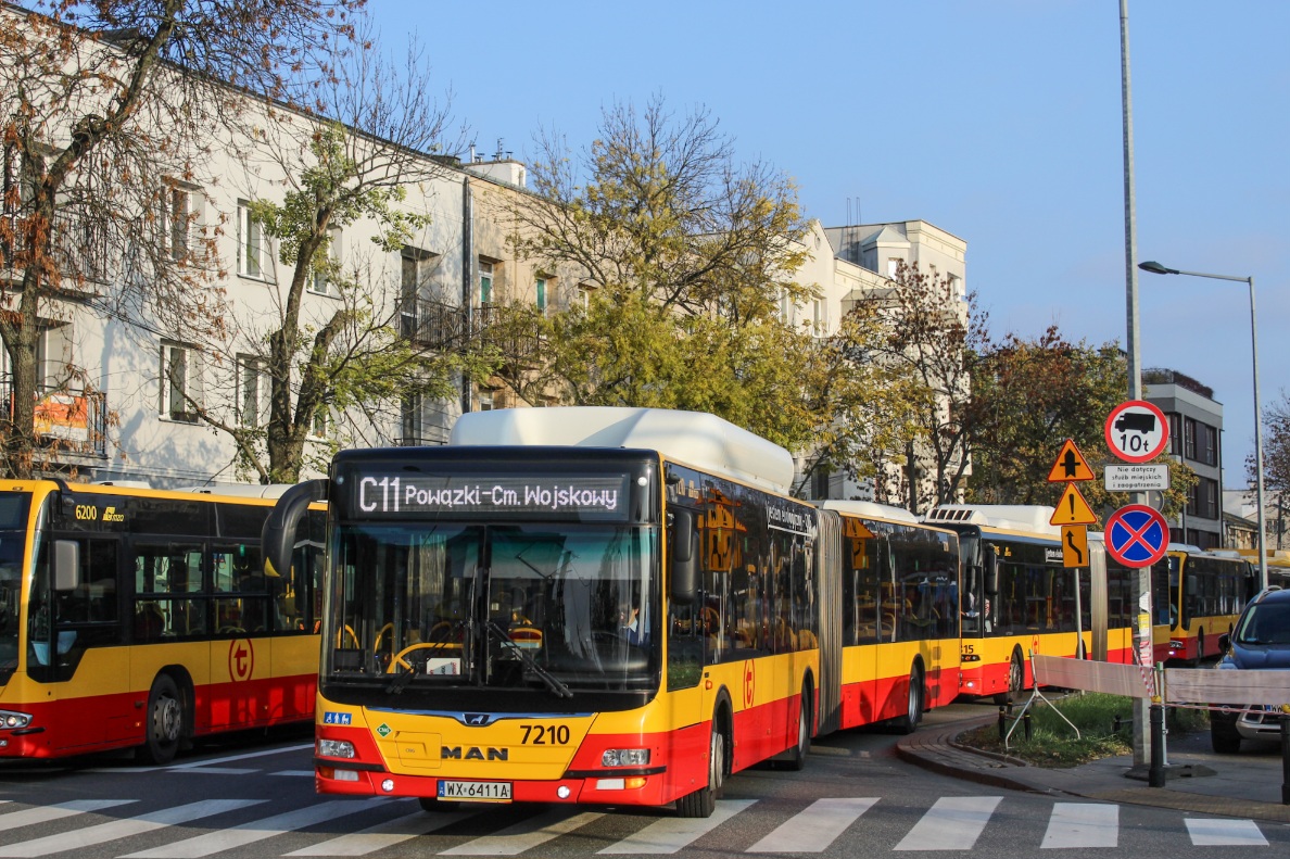 7210
Słowa kluczowe: WĹ2024