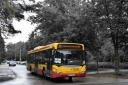 CSC_0779_--_kopia.JPG