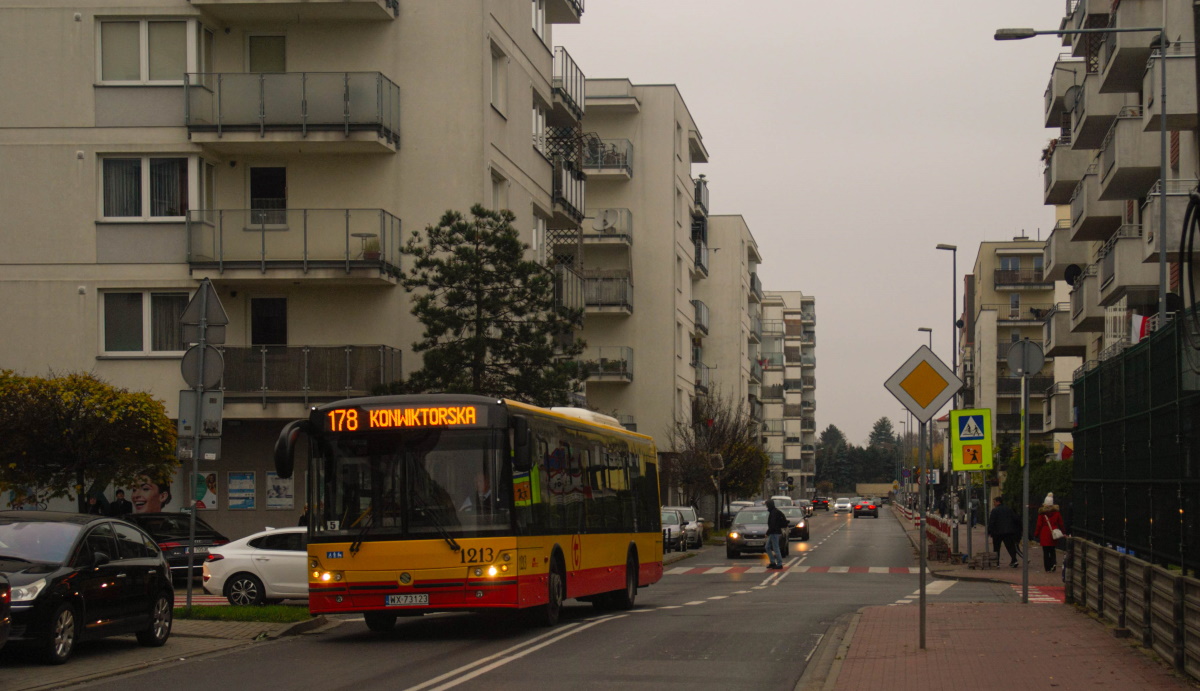 1213
Solbus uchwycony w pochmurny dzieĹ
