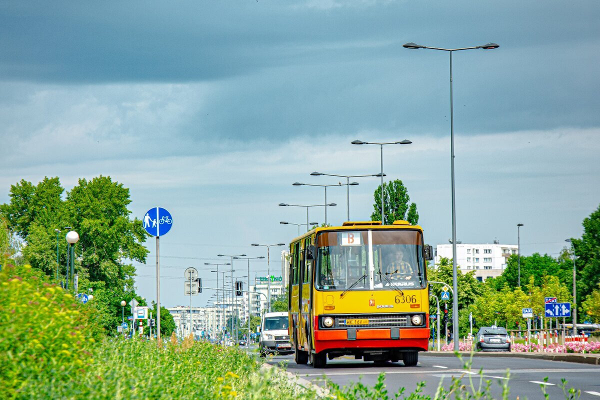 6306
Ikarus w obsĹudze linii z okazji festiwalu modelarskiego "Babaryba" na Ursynowie
Słowa kluczowe: Natura