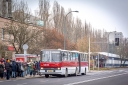2600_28129.jpg