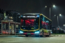 306-2.jpg