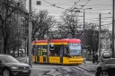 3826.jpg