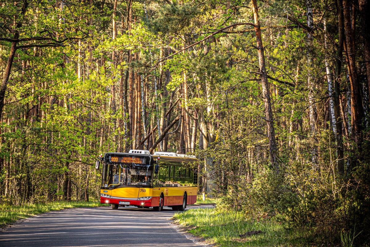 750
Słowa kluczowe: Natura