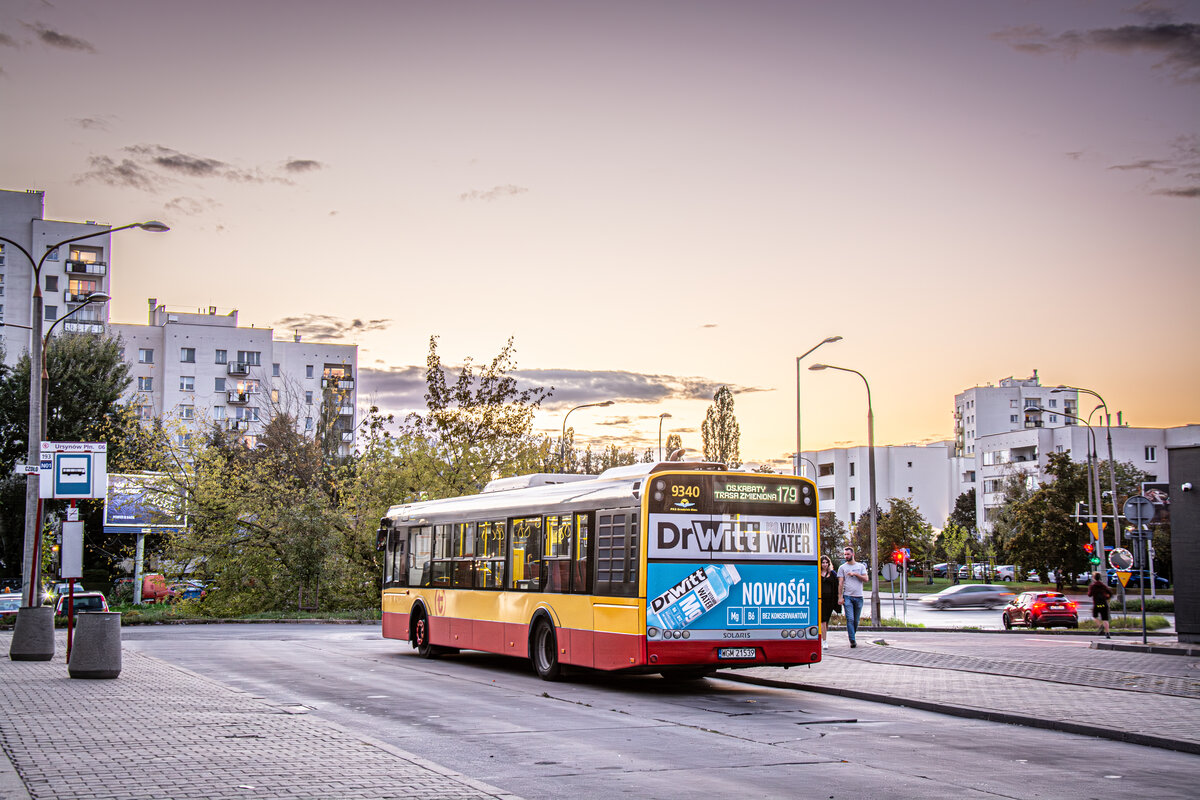 9340
Słowa kluczowe: ZachĂłd
