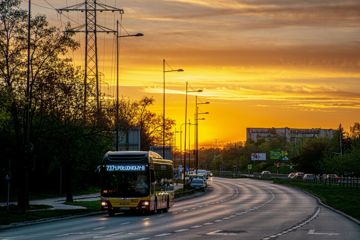 9527
Słowa kluczowe: ZachĂłd