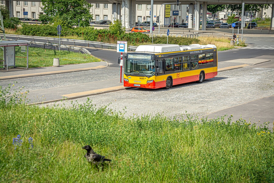 9685
Słowa kluczowe: Natura