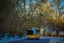 900-1.jpg
