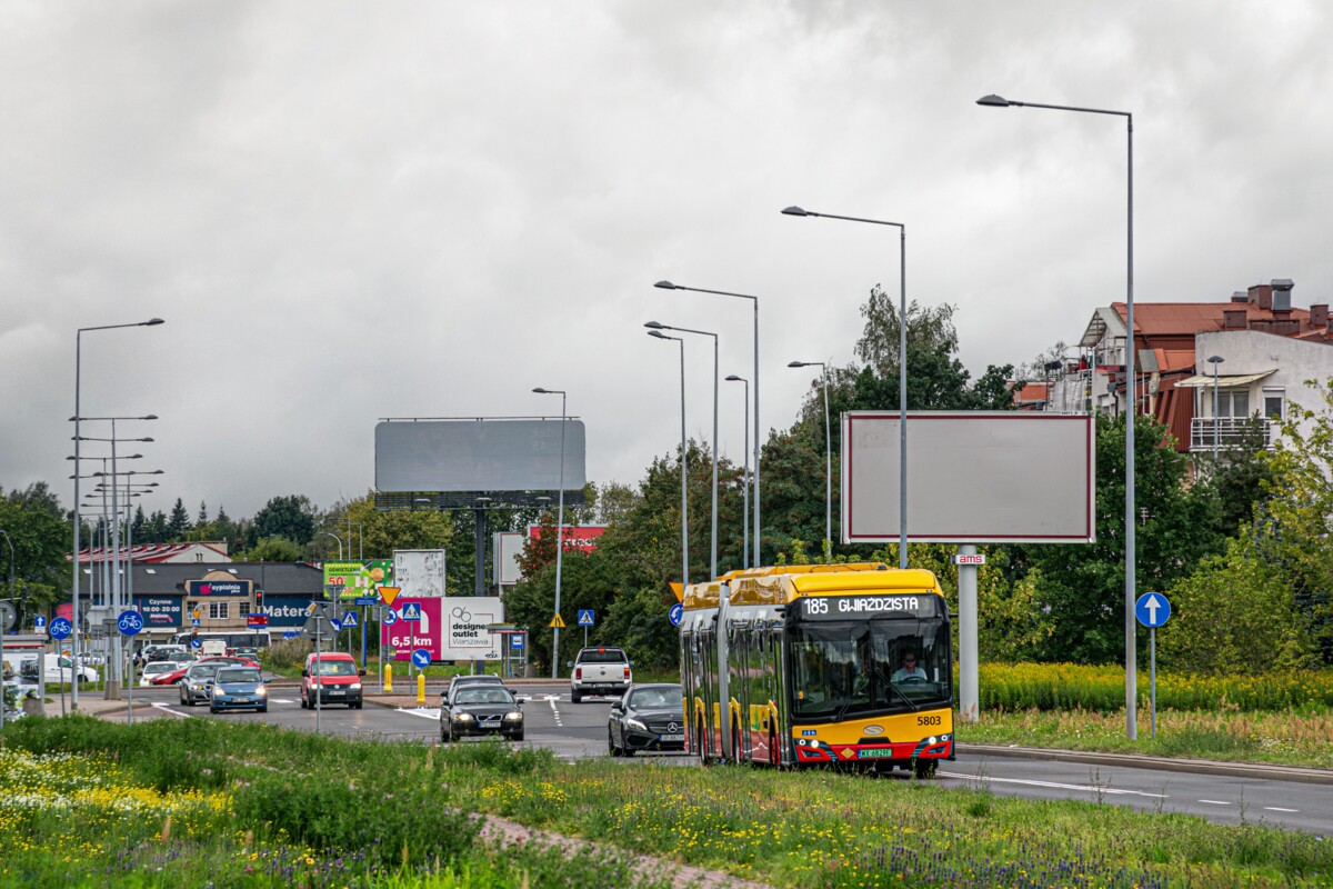 5803
Słowa kluczowe: Dziwadło