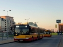504_010.jpg