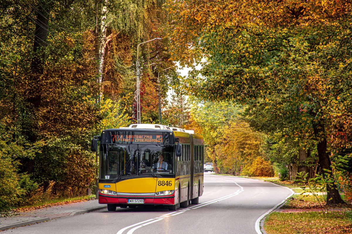 8846
Słowa kluczowe: Jesień Objazd