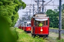 DSC07727.jpg