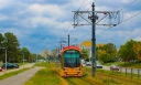 1338086C-8685-411D-A801-B0E3117FF093.jpeg