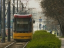 Polish_20231218_212039954.jpg