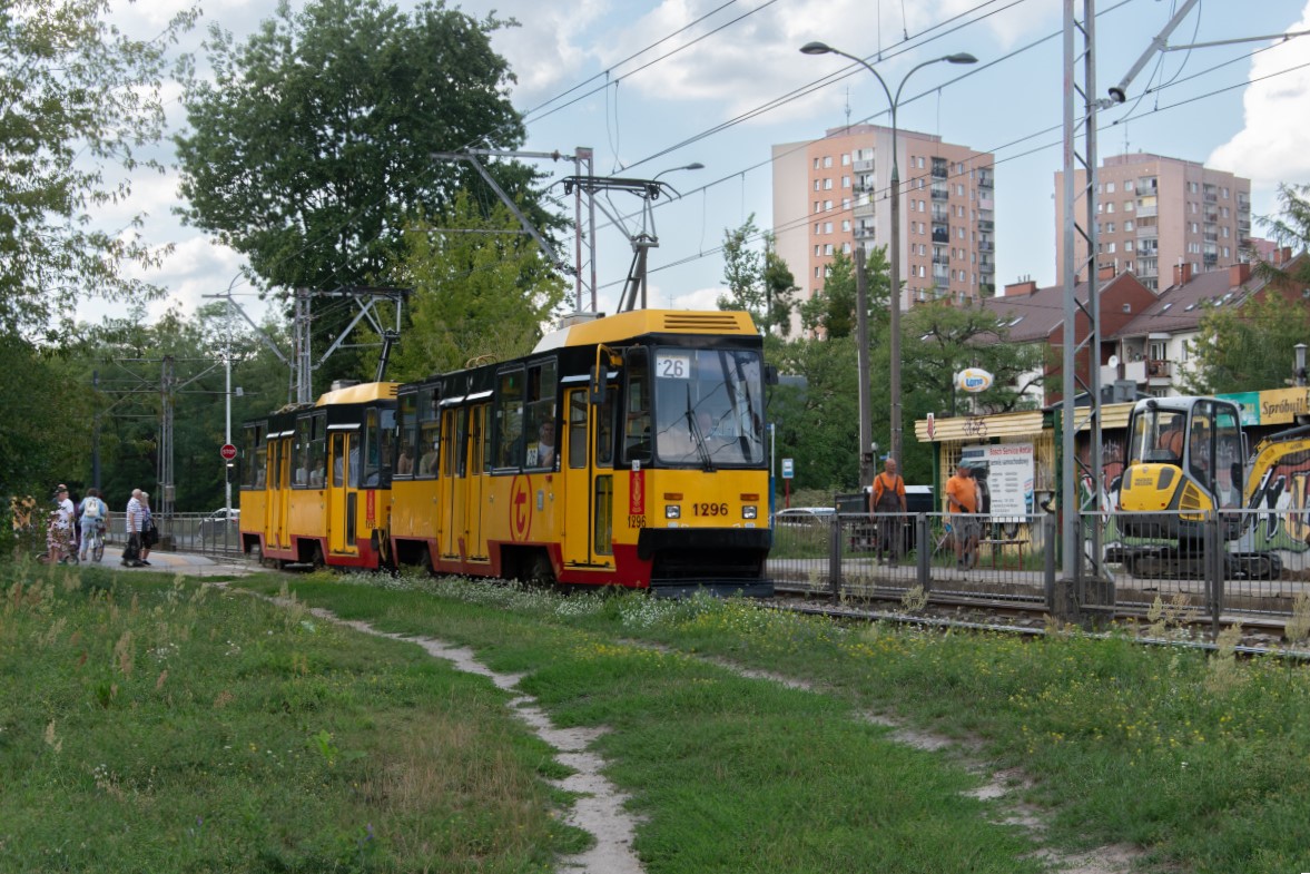 1296
Słowa kluczowe: 105Na