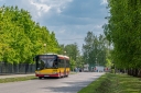 1000067351_28129.jpg