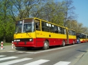 IMAG0122.jpg